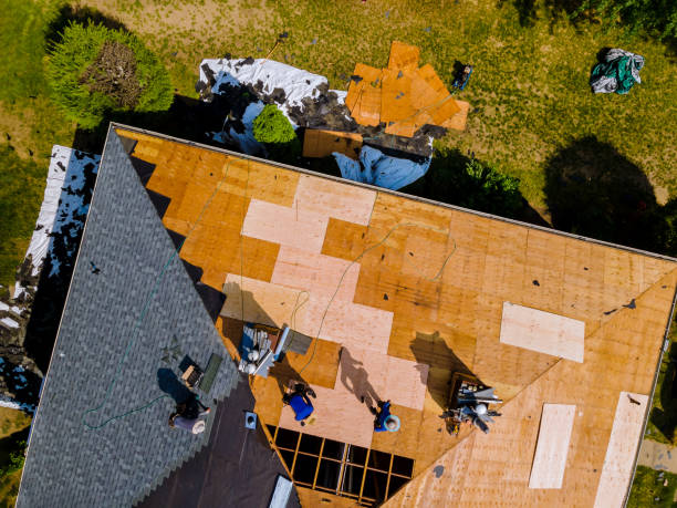 Best Metal Roofing Contractor  in Newport, VT