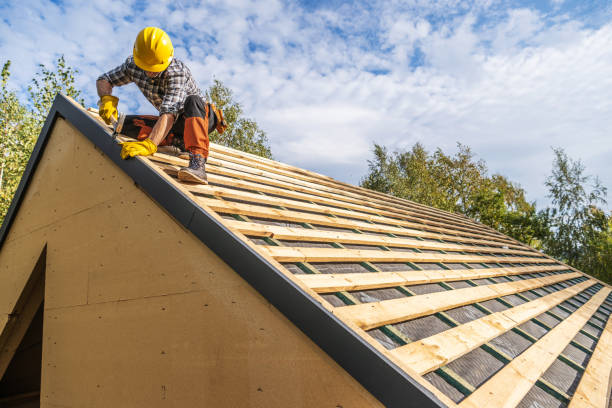 Best Roof Gutter Cleaning  in Newport, VT